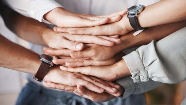 Exciting new additions to our Leading Edge family